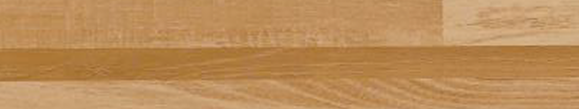 WARM BEECH specification details