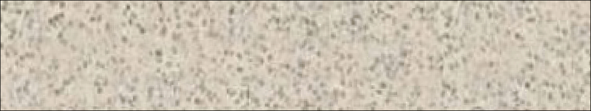 VT - M01 Terrazzo specification details