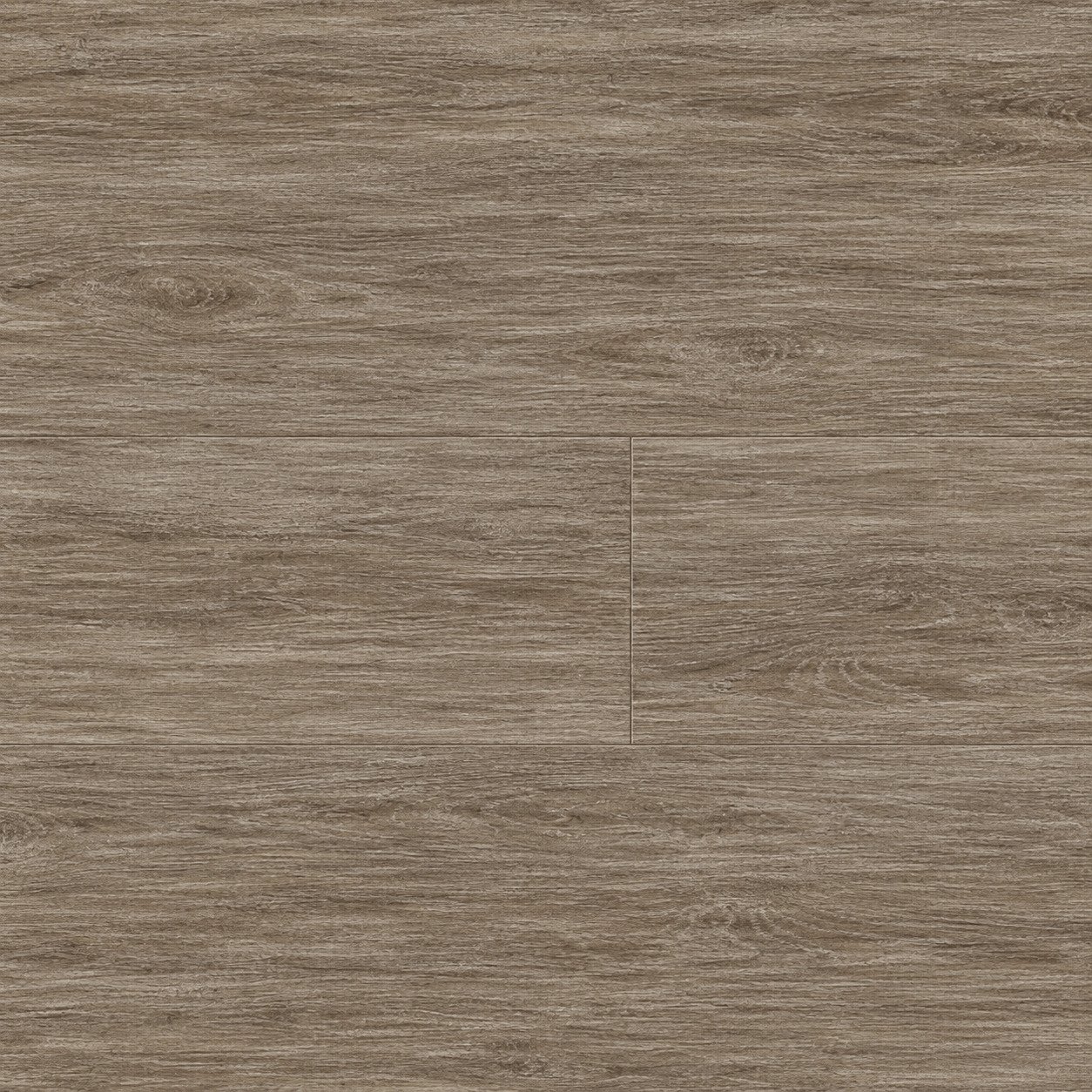 Coffee Oak