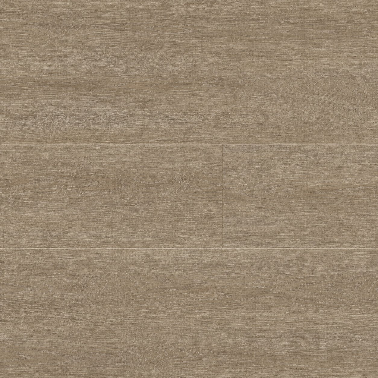 Silver Spruce