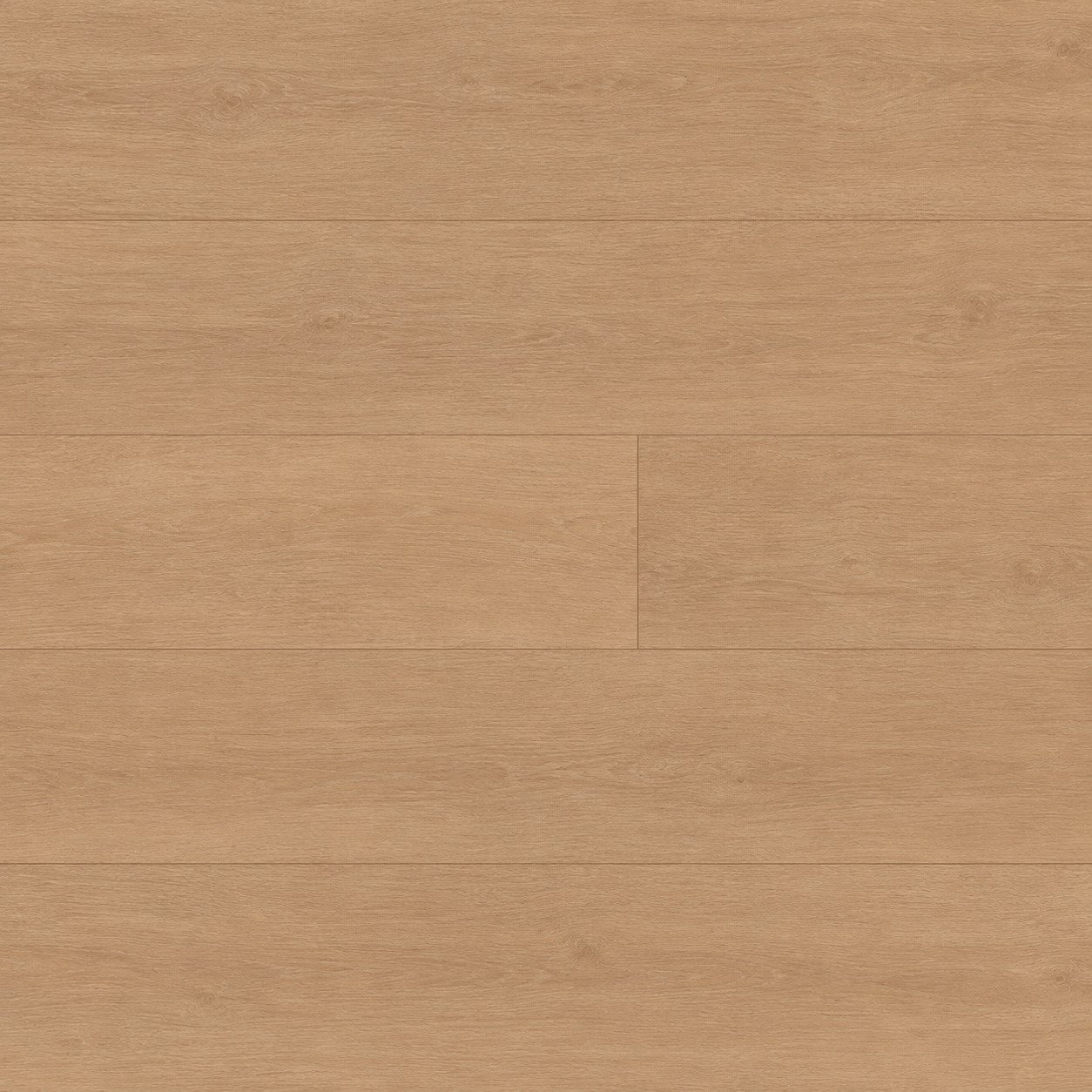Laurel Oak