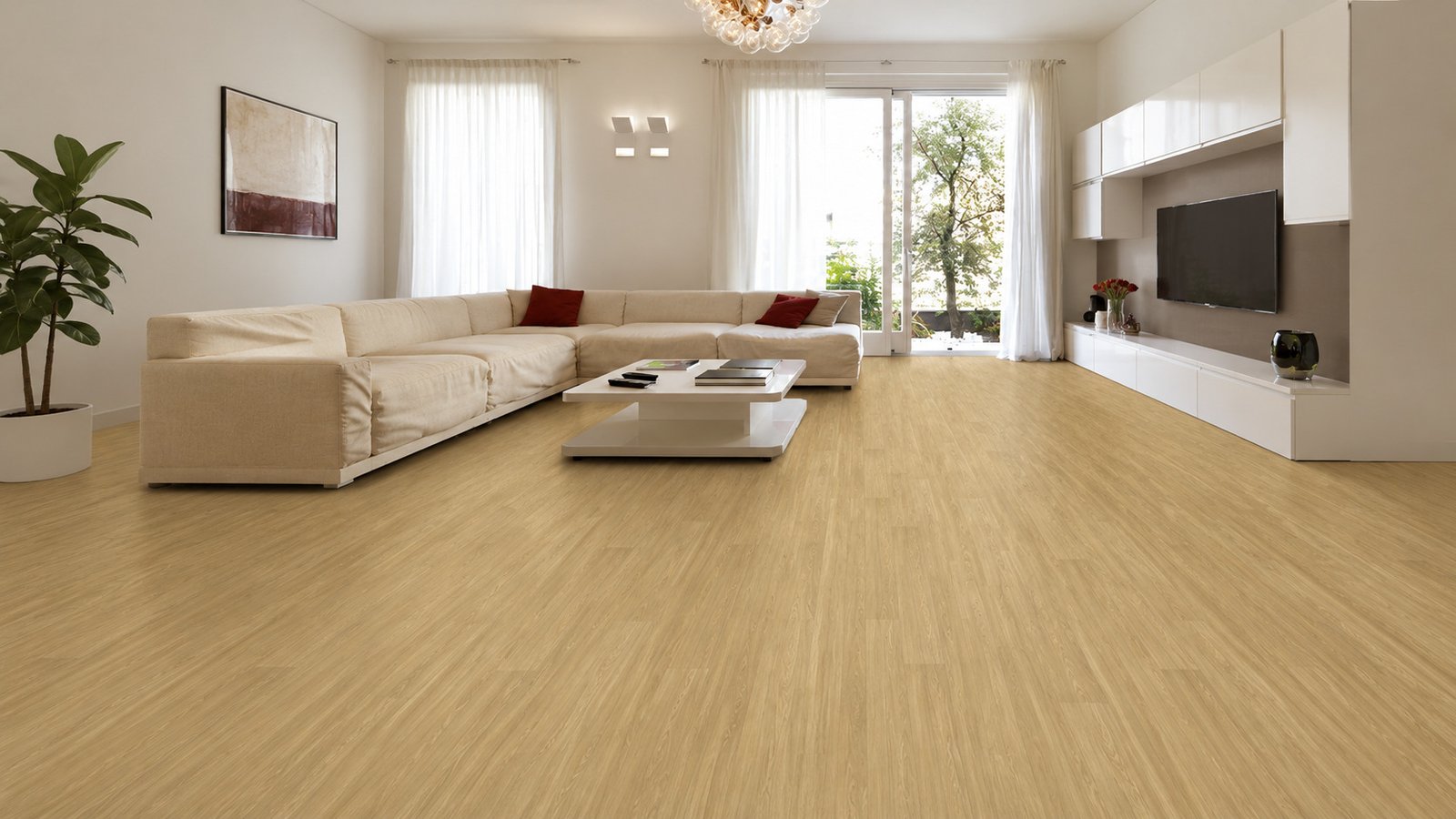 Wood Beech