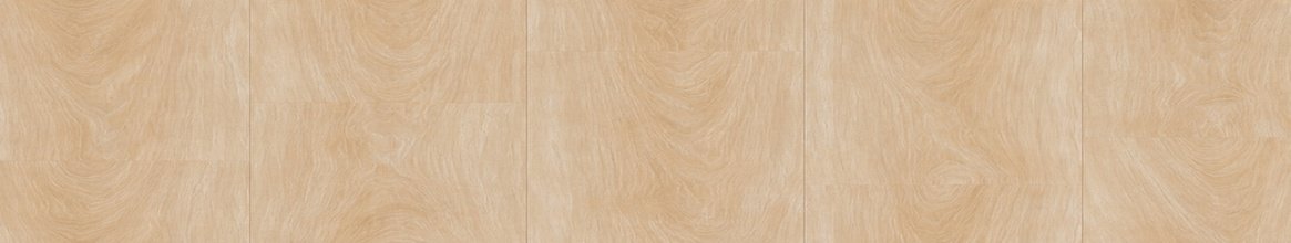 PS -102 CLASSICAL specification details
