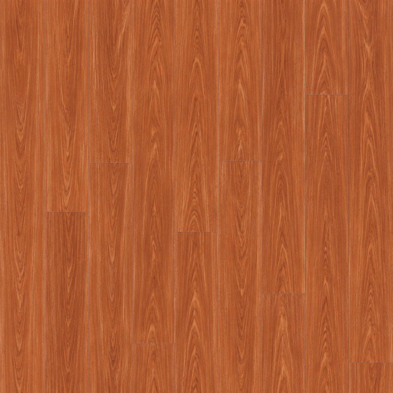 HONEY - SPC Flooring flooring by PoshFlor