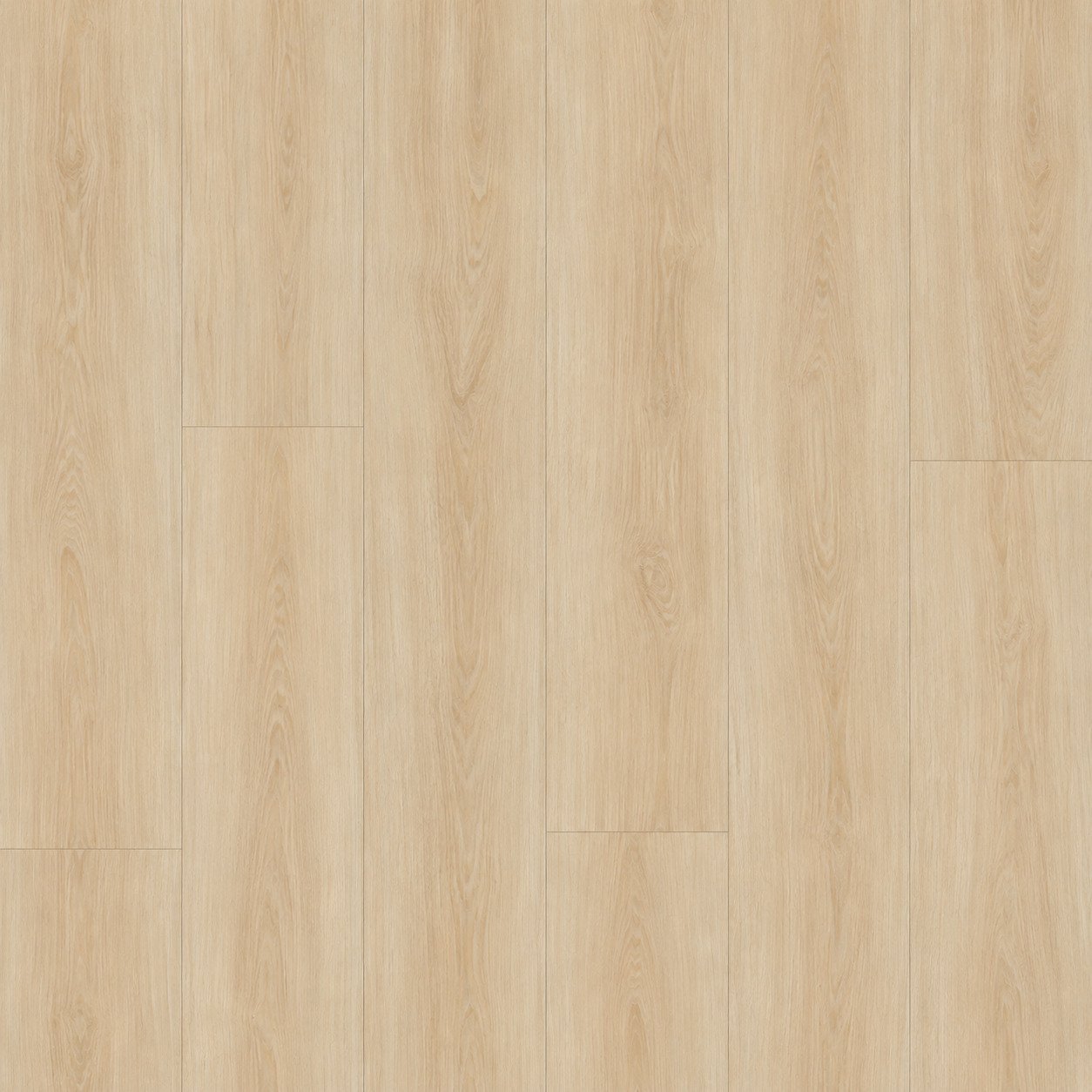 SUGARCANE - SPC Flooring flooring by PoshFlor