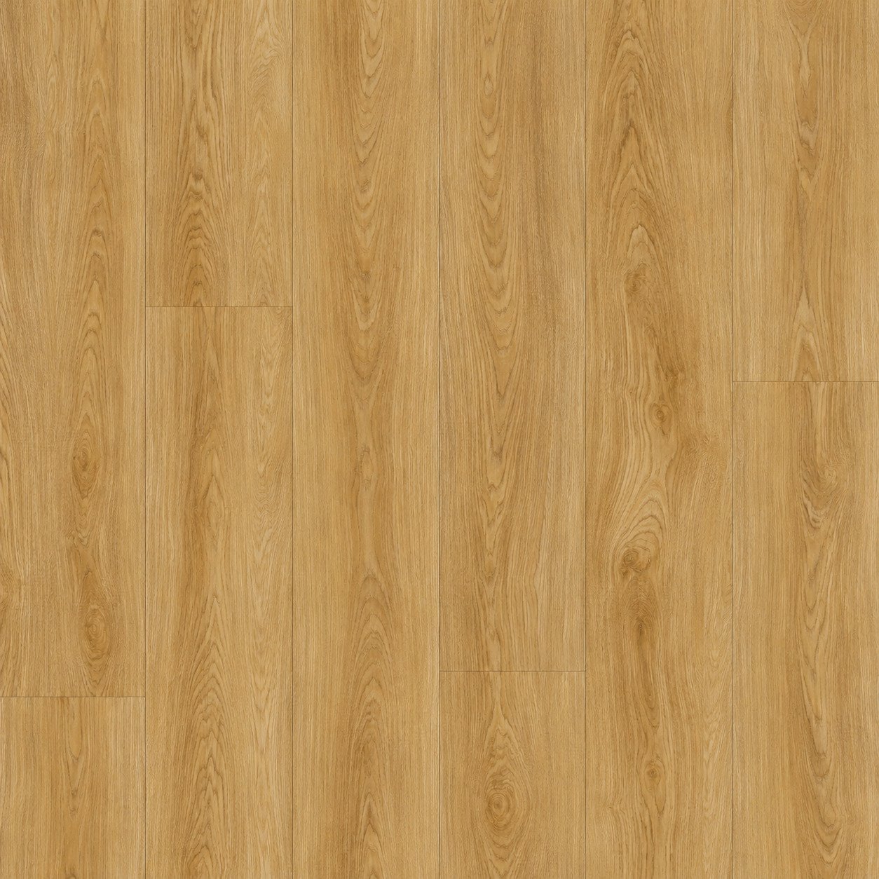 HONEY ACACIA - SPC Flooring flooring by PoshFlor