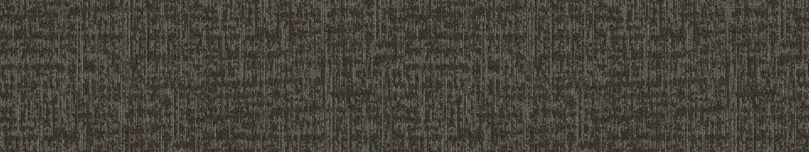 LN-206 Olive specification details